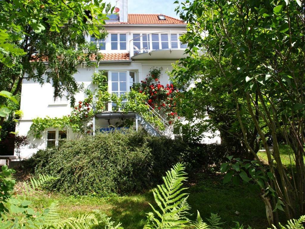 Dausacker Apartment *